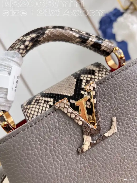 Cheap VUITTON LOUIS CAPUCINES MINI-21*14*8CM 0529